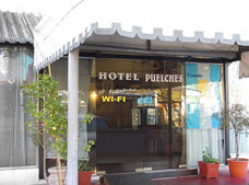 Puelches Hotel San Rafael  Exterior photo